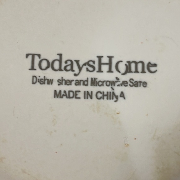 Today’s Home dishwasher and microwave safe bowl - Picture 3 of 5